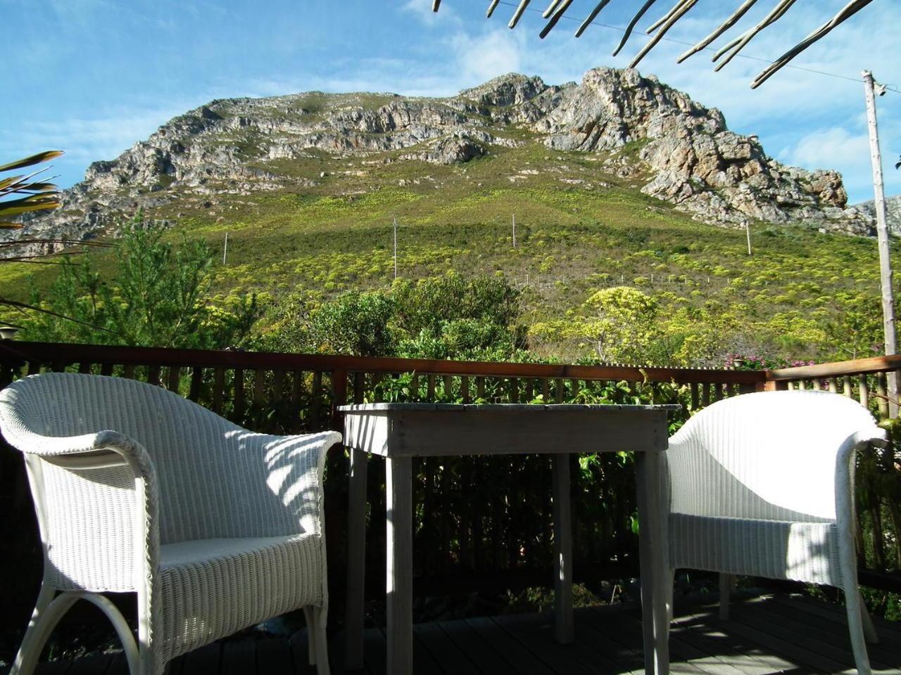 78On5Th In Hermanus Kültér fotó